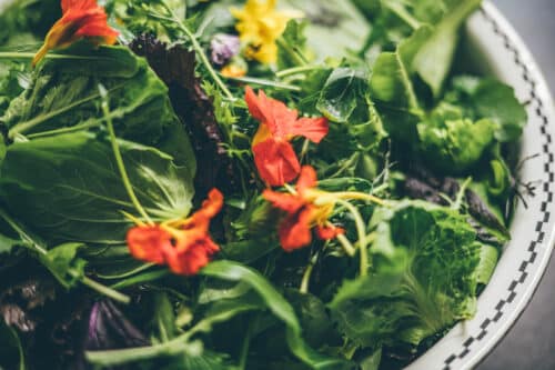 Sample Image Component